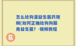 怎么给狗灌益生菌药视频(如何正确给狗狗服用益生菌？-视频教程