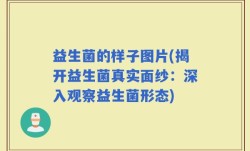 益生菌的样子图片(揭开益生菌真实面纱：深入观察益生菌形态)