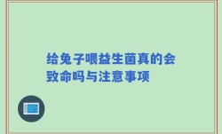 给兔子喂益生菌真的会致命吗与注意事项