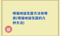 喂猫咪益生菌方法有哪些(喂猫咪益生菌的几种方法)