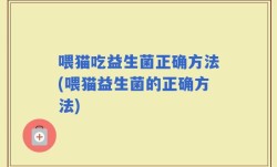喂猫吃益生菌正确方法(喂猫益生菌的正确方法)