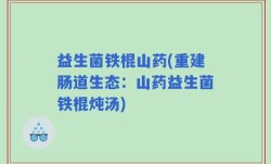 益生菌铁棍山药(重建肠道生态：山药益生菌铁棍炖汤)