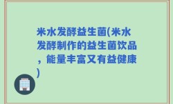 米水发酵益生菌(米水发酵制作的益生菌饮品，能量丰富又有益健康)