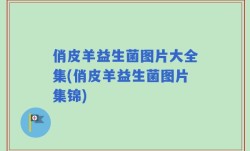 俏皮羊益生菌图片大全集(俏皮羊益生菌图片集锦)