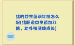 猪的益生菌跟红糖怎么配(猪肠道益生菌加红糖，助养殖健康成长)