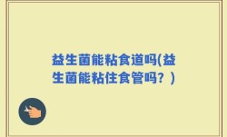 益生菌能粘食道吗(益生菌能粘住食管吗？)