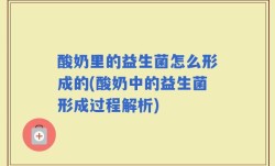 酸奶里的益生菌怎么形成的(酸奶中的益生菌形成过程解析)