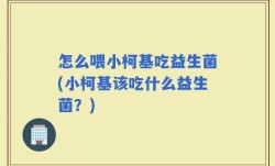 怎么喂小柯基吃益生菌(小柯基该吃什么益生菌？)