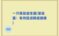 一只笨鼠益生菌(笨鼠菌：有效促进肠道健康)