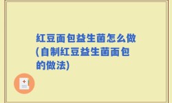 红豆面包益生菌怎么做(自制红豆益生菌面包的做法)