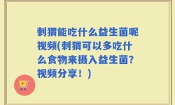 刺猬能吃什么益生菌呢视频(刺猬可以多吃什么食物来摄入益生菌？视频分享！)