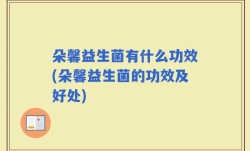 朵馨益生菌有什么功效(朵馨益生菌的功效及好处)