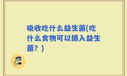 吸收吃什么益生菌(吃什么食物可以摄入益生菌？)