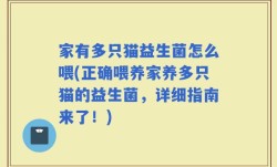 家有多只猫益生菌怎么喂(正确喂养家养多只猫的益生菌，详细指南来了！)