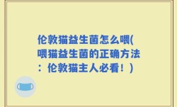 伦敦猫益生菌怎么喂(喂猫益生菌的正确方法：伦敦猫主人必看！)