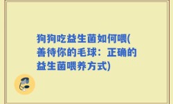 狗狗吃益生菌如何喂(善待你的毛球：正确的益生菌喂养方式)