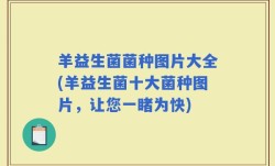 羊益生菌菌种图片大全(羊益生菌十大菌种图片，让您一睹为快)