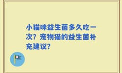 小猫咪益生菌多久吃一次？宠物猫的益生菌补充建议？