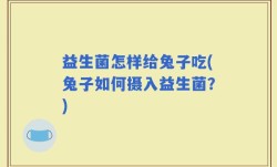 益生菌怎样给兔子吃(兔子如何摄入益生菌？)