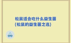 松鼠适合吃什么益生菌(松鼠的益生菌之选)