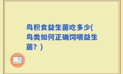 鸟积食益生菌吃多少(鸟类如何正确饲喂益生菌？)