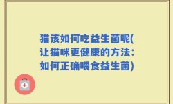 猫该如何吃益生菌呢(让猫咪更健康的方法：如何正确喂食益生菌)