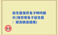 益生菌推荐兔子喝吗图片(推荐喂兔子益生菌：提高肠道健康)