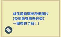 益生菌有哪些种类图片(益生菌有哪些种类？一图带你了解！)