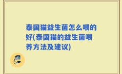 泰国猫益生菌怎么喂的好(泰国猫的益生菌喂养方法及建议)