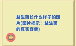 益生菌长什么样子的图片(图片揭示：益生菌的真实容貌)