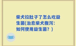 柴犬拉肚子了怎么吃益生菌(治愈柴犬腹泻：如何使用益生菌？)