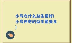 小鸟吃什么益生菌好(小鸟神奇的益生菌美食)