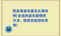 豚鼠用益生菌怎么喂食啊(合适的益生菌喂养方法，豚鼠也能轻松享用)