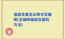 猫益生菌怎么喝才正确呢(正确喝猫益生菌的方法)