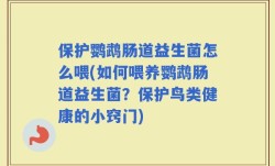 保护鹦鹉肠道益生菌怎么喂(如何喂养鹦鹉肠道益生菌？保护鸟类健康的小窍门)