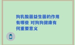 狗乳酸菌益生菌的作用有哪些 对狗狗健康有何重要意义