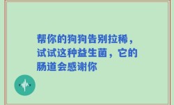 帮你的狗狗告别拉稀，试试这种益生菌，它的肠道会感谢你