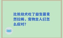 比熊幼犬吃了益生菌竟然拉稀，宠物主人们怎么应对？