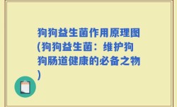 狗狗益生菌作用原理图(狗狗益生菌：维护狗狗肠道健康的必备之物)