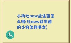 小狗吐now益生菌怎么喂(吐now益生菌的小狗怎样喂食)
