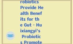 汇鸿益生菌(Huixiangyi's Probiotics Provide Health Benefits for the Gut - Huixiangyi's Probiotics Promote Gut Health)
