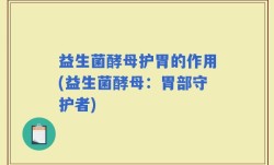 益生菌酵母护胃的作用(益生菌酵母：胃部守护者)