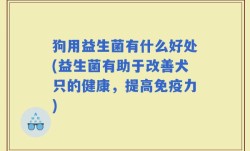 狗用益生菌有什么好处(益生菌有助于改善犬只的健康，提高免疫力)
