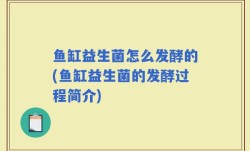鱼缸益生菌怎么发酵的(鱼缸益生菌的发酵过程简介)