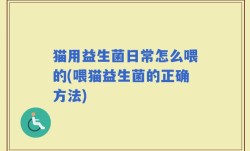 猫用益生菌日常怎么喂的(喂猫益生菌的正确方法)