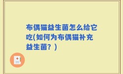 布偶猫益生菌怎么给它吃(如何为布偶猫补充益生菌？)