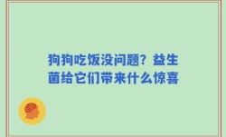 狗狗吃饭没问题？益生菌给它们带来什么惊喜