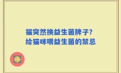猫突然换益生菌牌子？给猫咪喂益生菌的禁忌