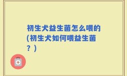 初生犬益生菌怎么喂的(初生犬如何喂益生菌？)