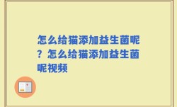 怎么给猫添加益生菌呢？怎么给猫添加益生菌呢视频